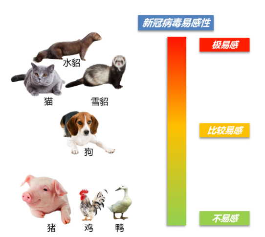 1 面向世界農(nóng)業(yè)科技前沿，取得一批原創(chuàng)性科學(xué)成果1963.png