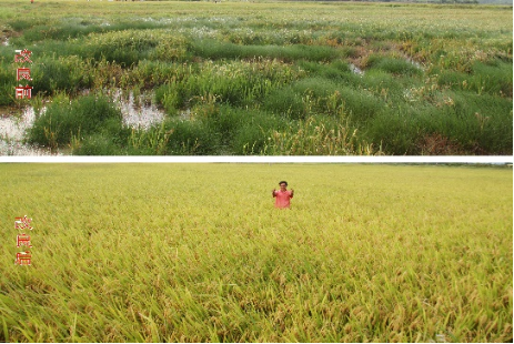 2 面向國家重大需求，突破一批關(guān)鍵核心技術(shù)1151.png