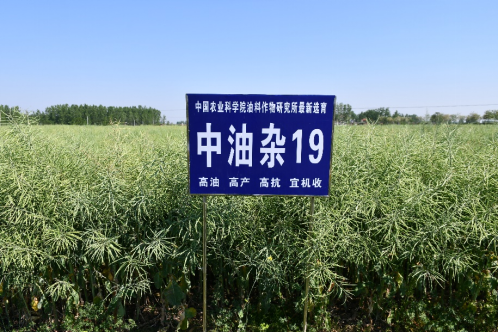 3 面向現(xiàn)代農(nóng)業(yè)建設(shè)主戰(zhàn)場，創(chuàng)制一批重大產(chǎn)品690.png