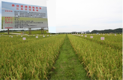 2 面向國家重大需求，突破一批關(guān)鍵核心技術(shù)691.png